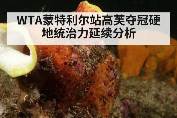 WTA蒙特利尔站高芙夺冠硬地统治力延续分析