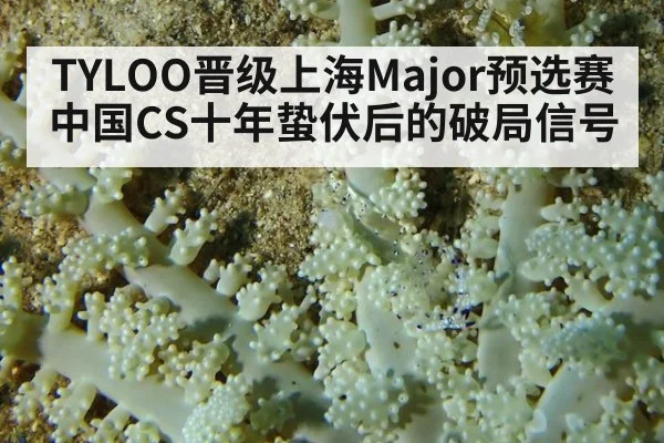 TYLOO晋级上海Major预选赛 中国CS十年蛰伏后的破局信号